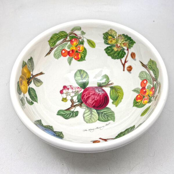 Portmeirion-Pomona-Large-Salad-Dessert-Bowl-Hoary-Morning-Apple-2 Portmeirion Pomona Large Salad Dessert Bowl Hoary Morning Apple