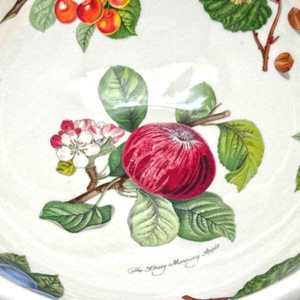 Portmeirion-Pomona-Large-Salad-Dessert-Bowl-Hoary-Morning-Apple-3 Portmeirion Pomona Large Salad Dessert Bowl Hoary Morning Apple