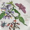 Portmeirion Woody Nightshade Pie Dish