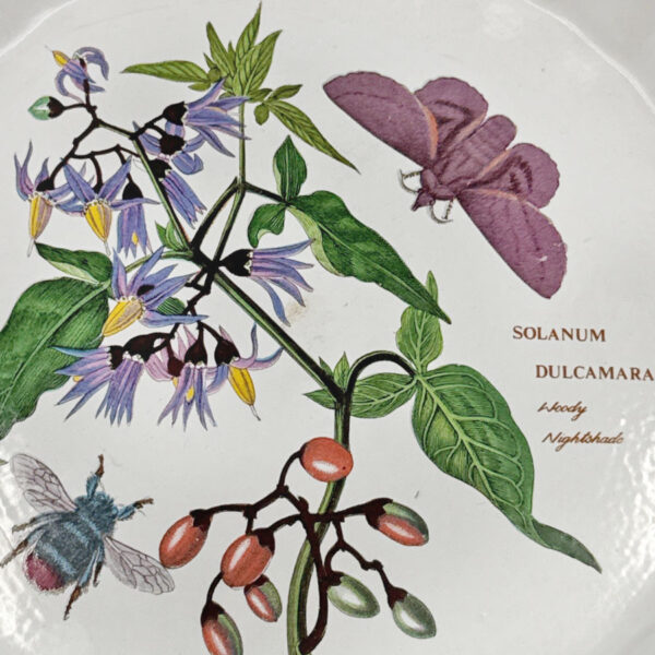 Portmeirion Woody Nightshade Pie Dish