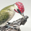 Rosenthal Green Wood Pecker Figurine 20th