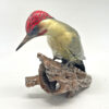 Rosenthal Green Wood Pecker Green Chest Figurine 20th