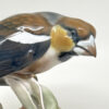 Rosenthal Hawfinch Figurine 20th