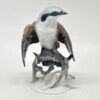 Rosenthal Perched Great Grey Shrike  Figurine 20th
