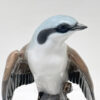 Rosenthal Perched Great Grey Shrike  Figurine 20th
