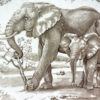 Wedgwood Union National Parks Plate Elephant