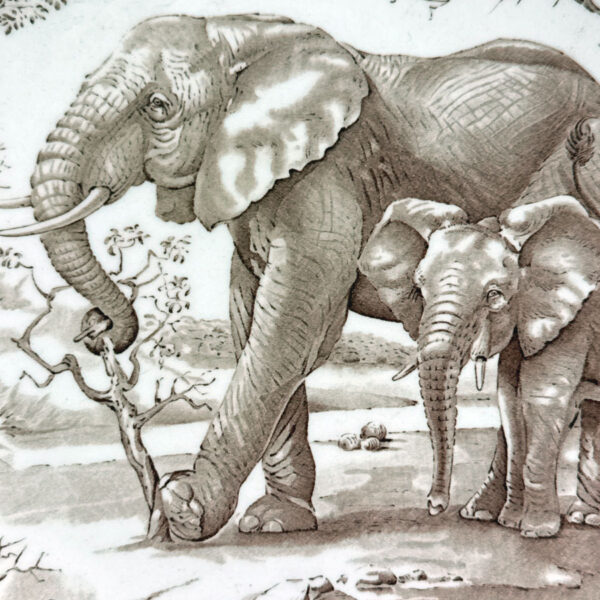 Wedgwood Union National Parks Plate Elephant