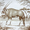 Wedgwood Union National Parks Plate Gemsbok