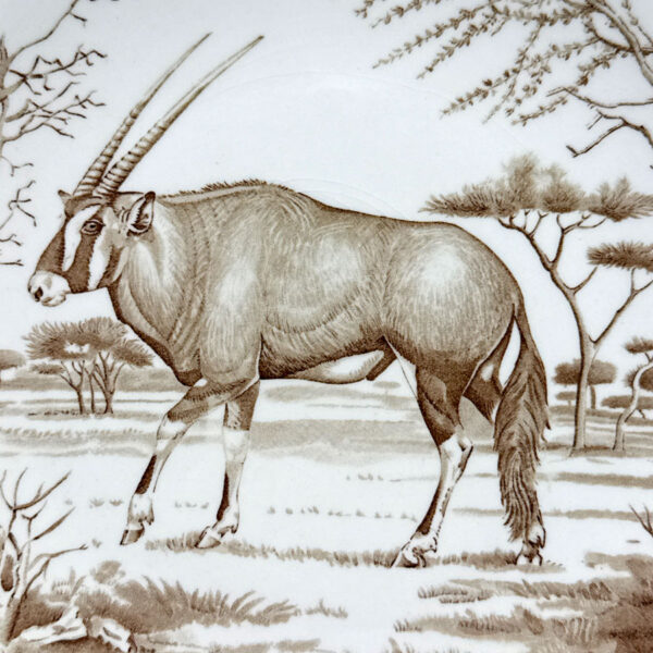 Wedgwood Union National Parks Plate Gemsbok