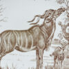 Wedgwood Union National Parks Plate Kudu