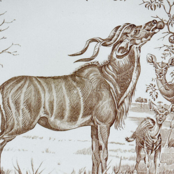 Wedgwood Union National Parks Plate Kudu