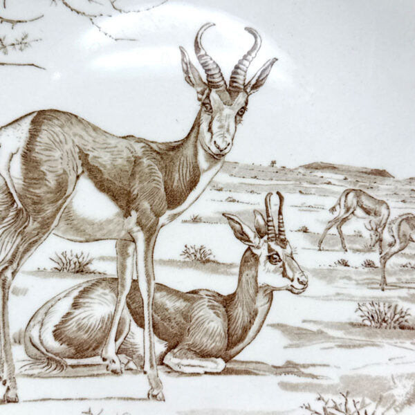 Wedgwood Union National Parks Plate Springbok