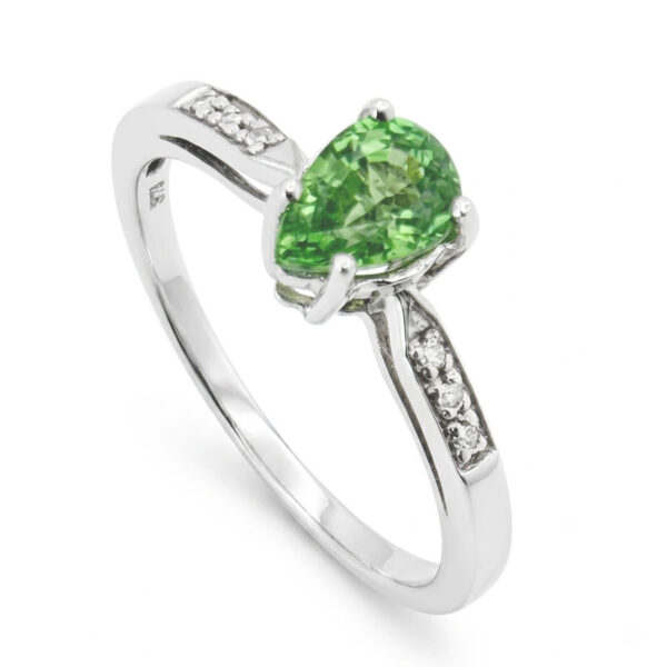 9ct White Gold Tsavorite Garnet & Diamond Ring