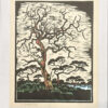 Gregoire Boonzaier Coloured Linocut Trees (SA 1909 - 2005)