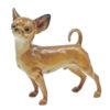 Hutschenreuther Chihuahua Figurine C1900