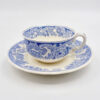 Copeland Spode Severn Tea Duo