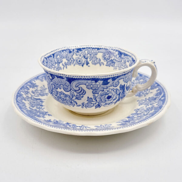 Copeland Spode Severn Tea Duo