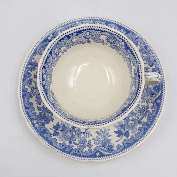 Copeland Spode Severn Tea Duo