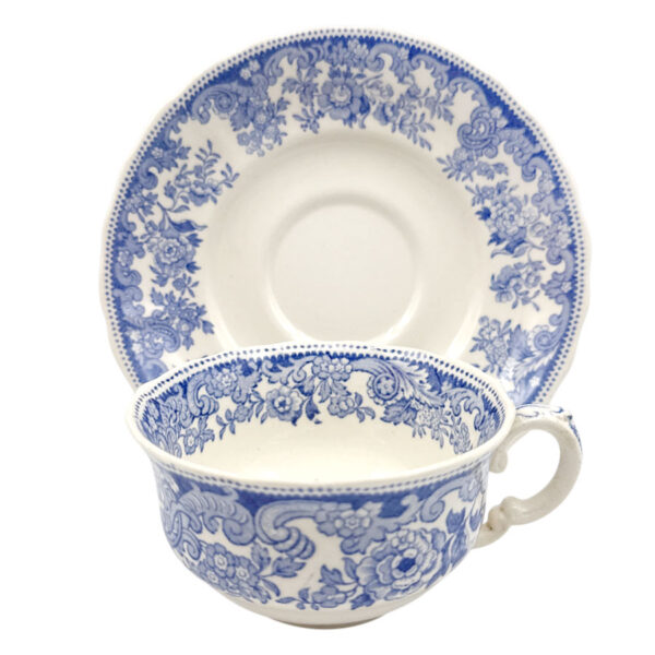 Copeland Spode Severn Tea Duo