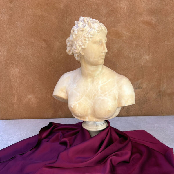 Marble Bust Of Venus 19th Signed