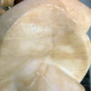Marble Bust Of Venus 19th Signed