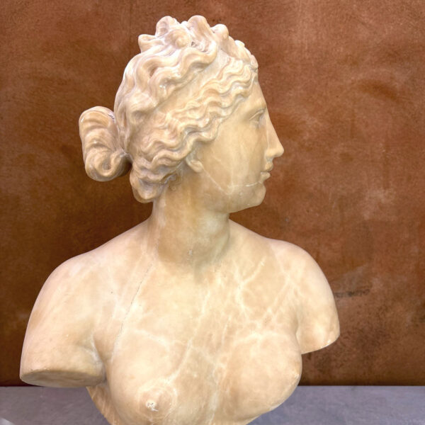 Marble Bust Of Venus 19th Signed