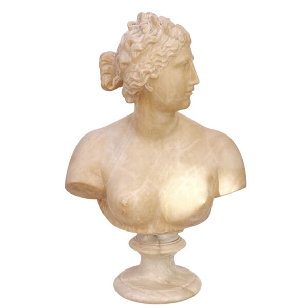 Marble Bust Of Venus 19th Signed